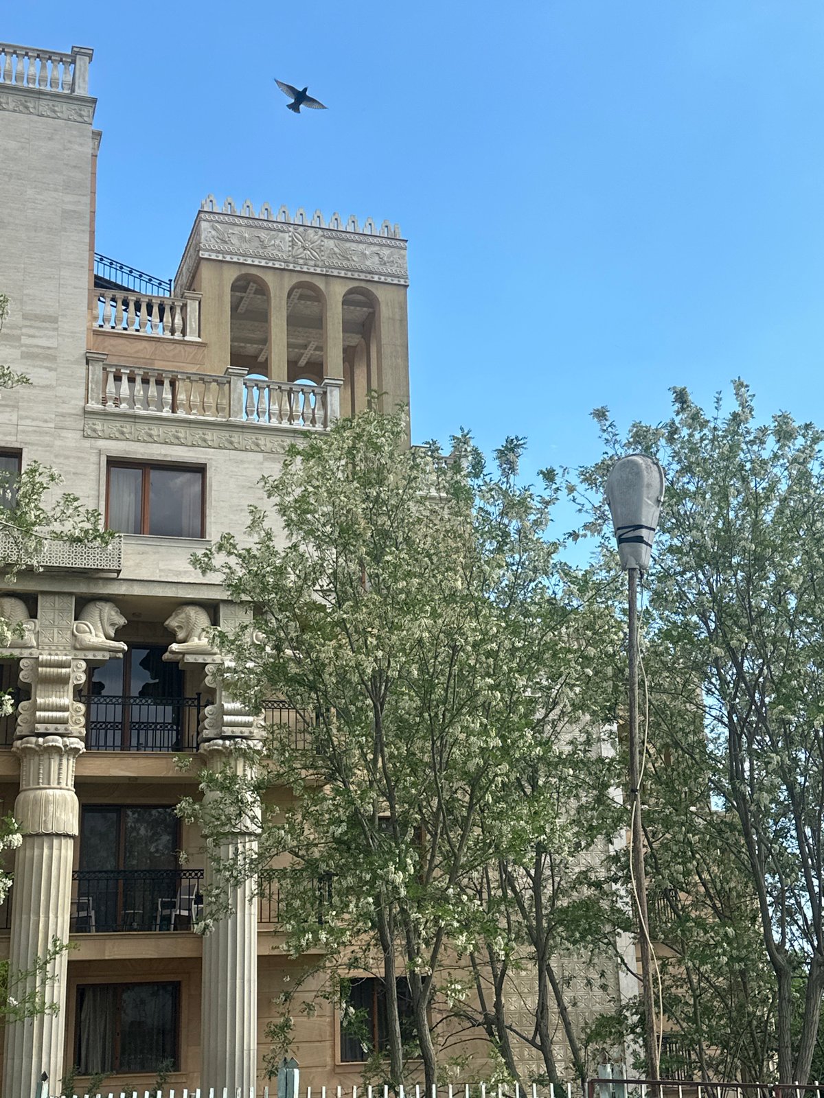 Ornate historic building with classical details documented in Varna