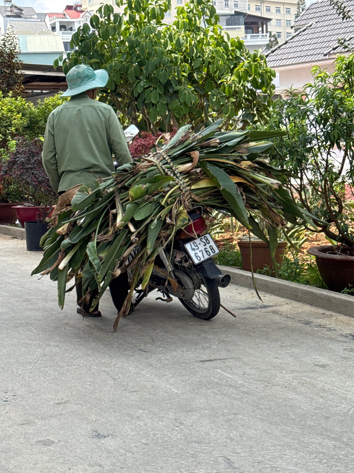 Early morning street life documented in Đà Lạt residential district
