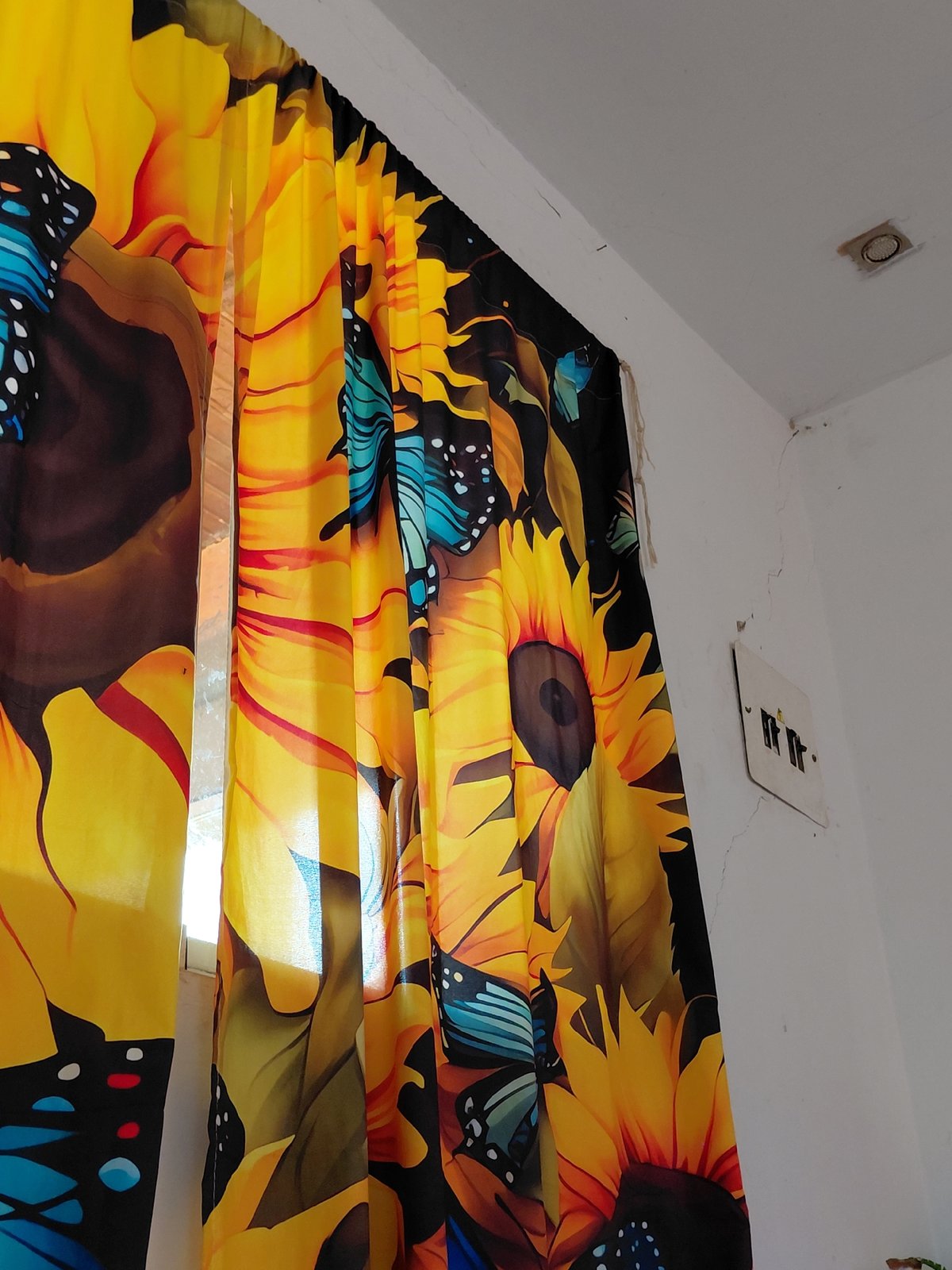 Inside a Santa Ana home: altars, anime, and everyday decor