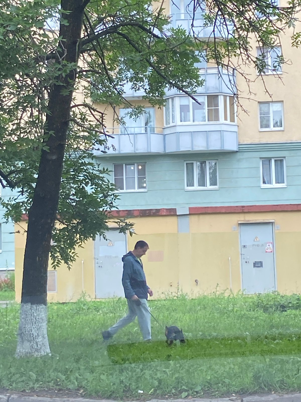 Rainy afternoon around a Saint Petersburg residential block