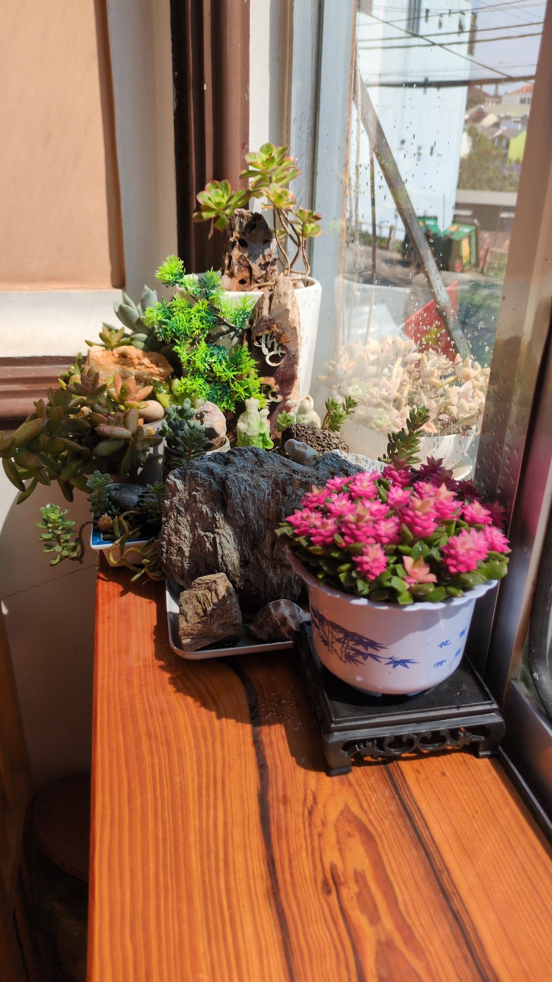 Spring flowers and Lunar New Year decorations observed in Da Lat