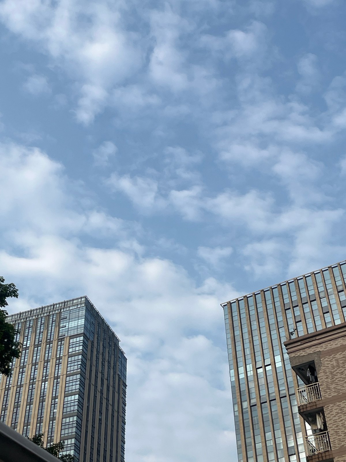 Urban scenes documented in Chongqing's Yuzhong District