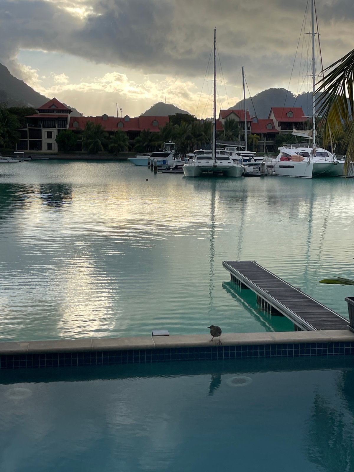 Victoria harbor at golden hour, Mahé, Seychelles
