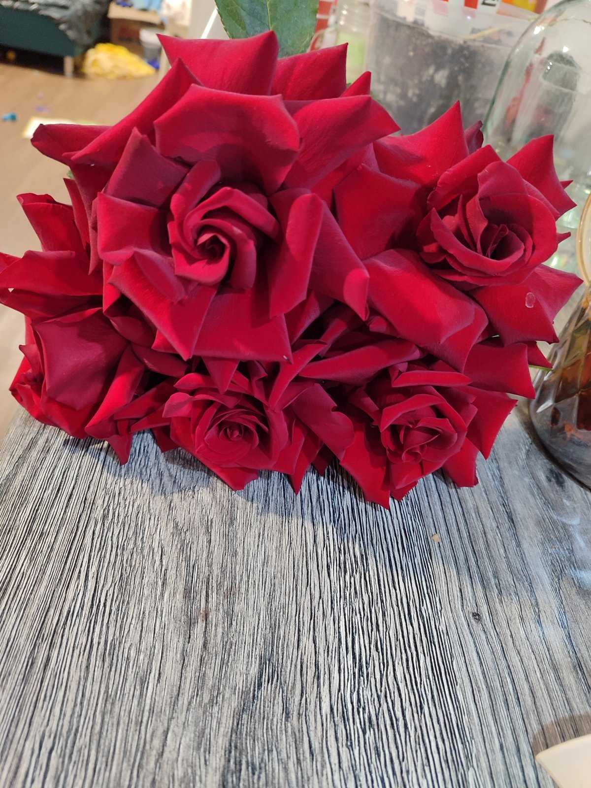 Quiet domestic moments captured in Izhevsk: roses and resting cat