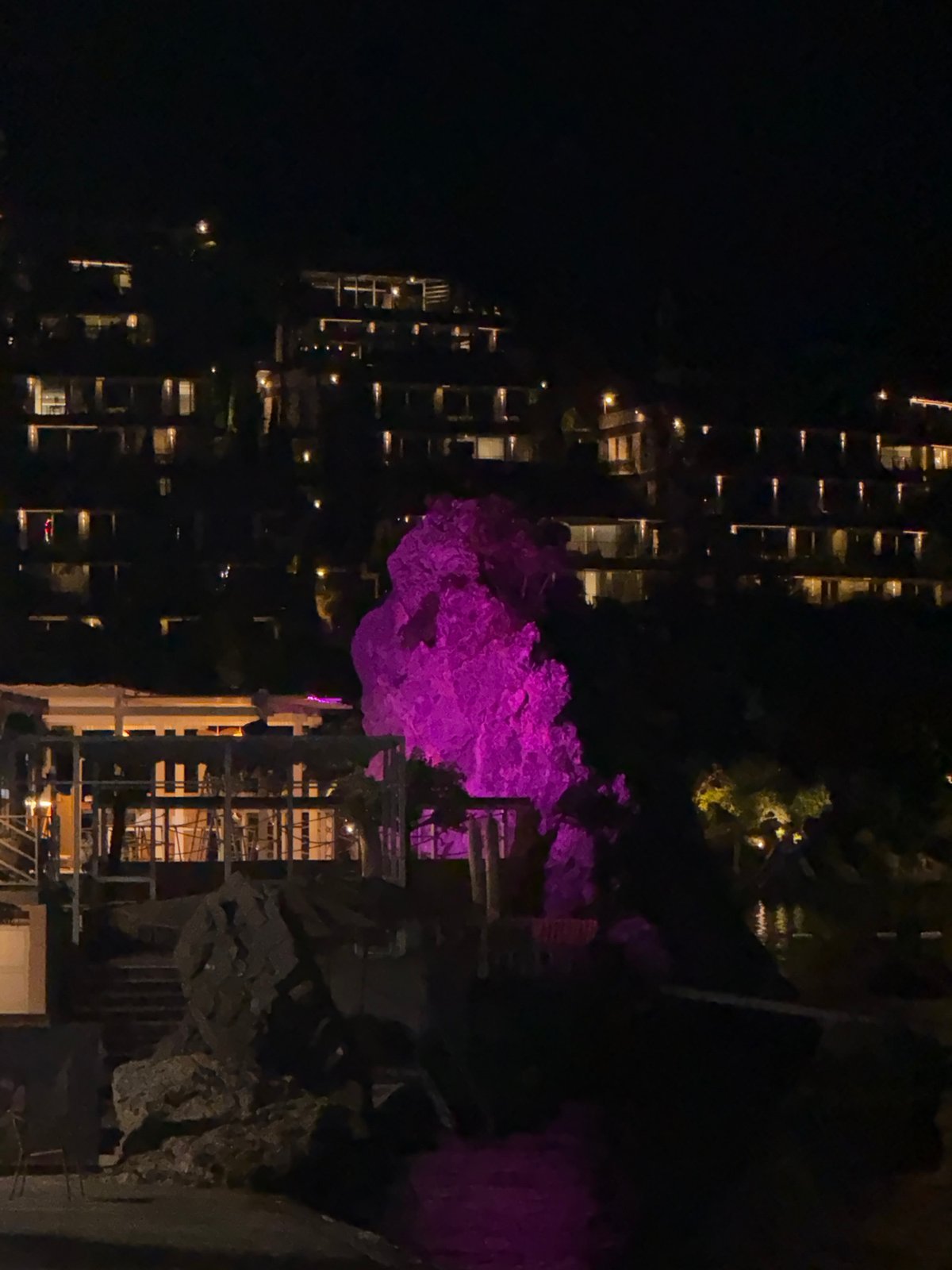 Budva after dark: lit coastline, quiet streets, and street cats