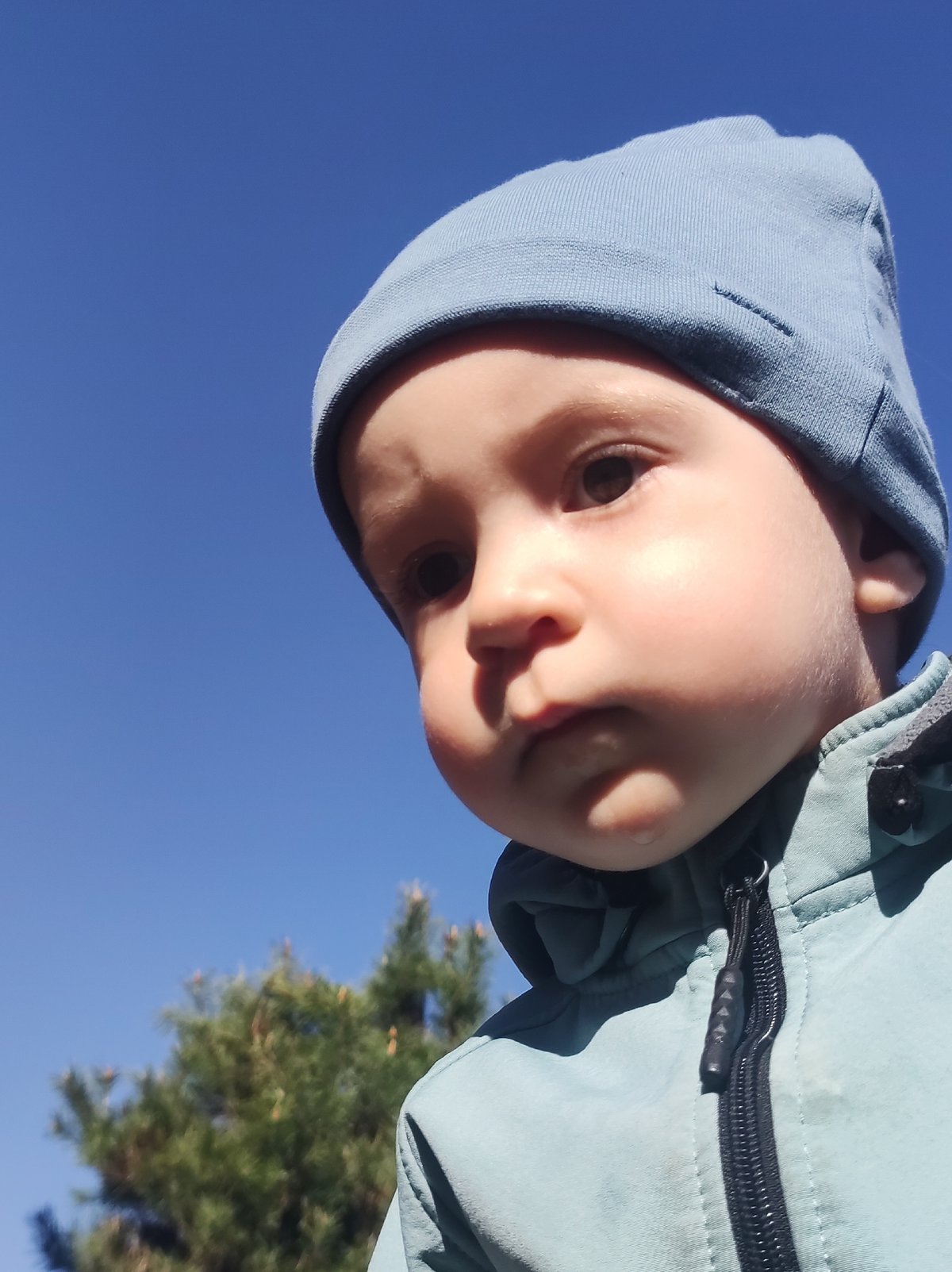 Family enjoys sunny morning playtime with dog in Фоки