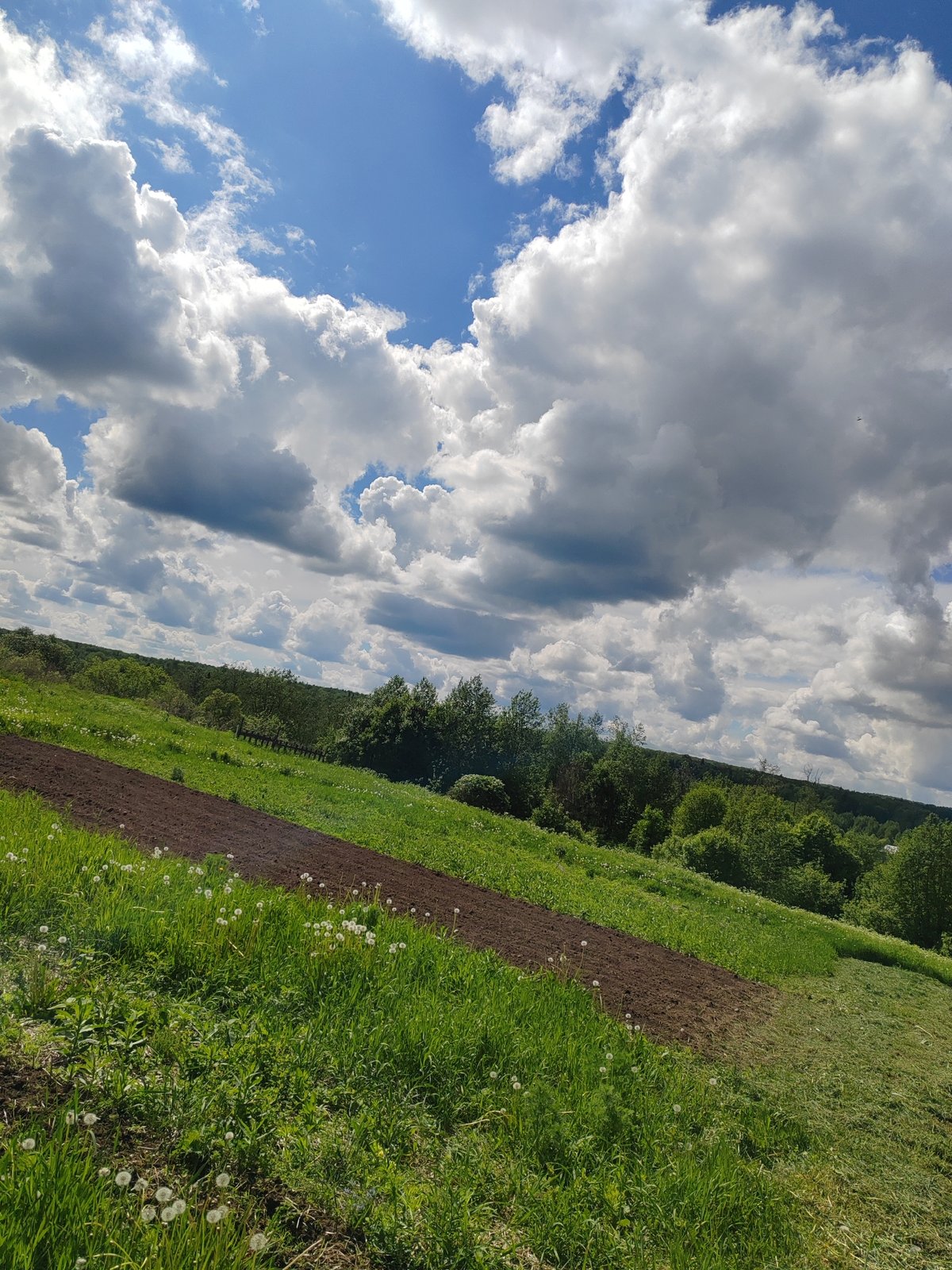 Spring countryside scenes documented in rural Russia