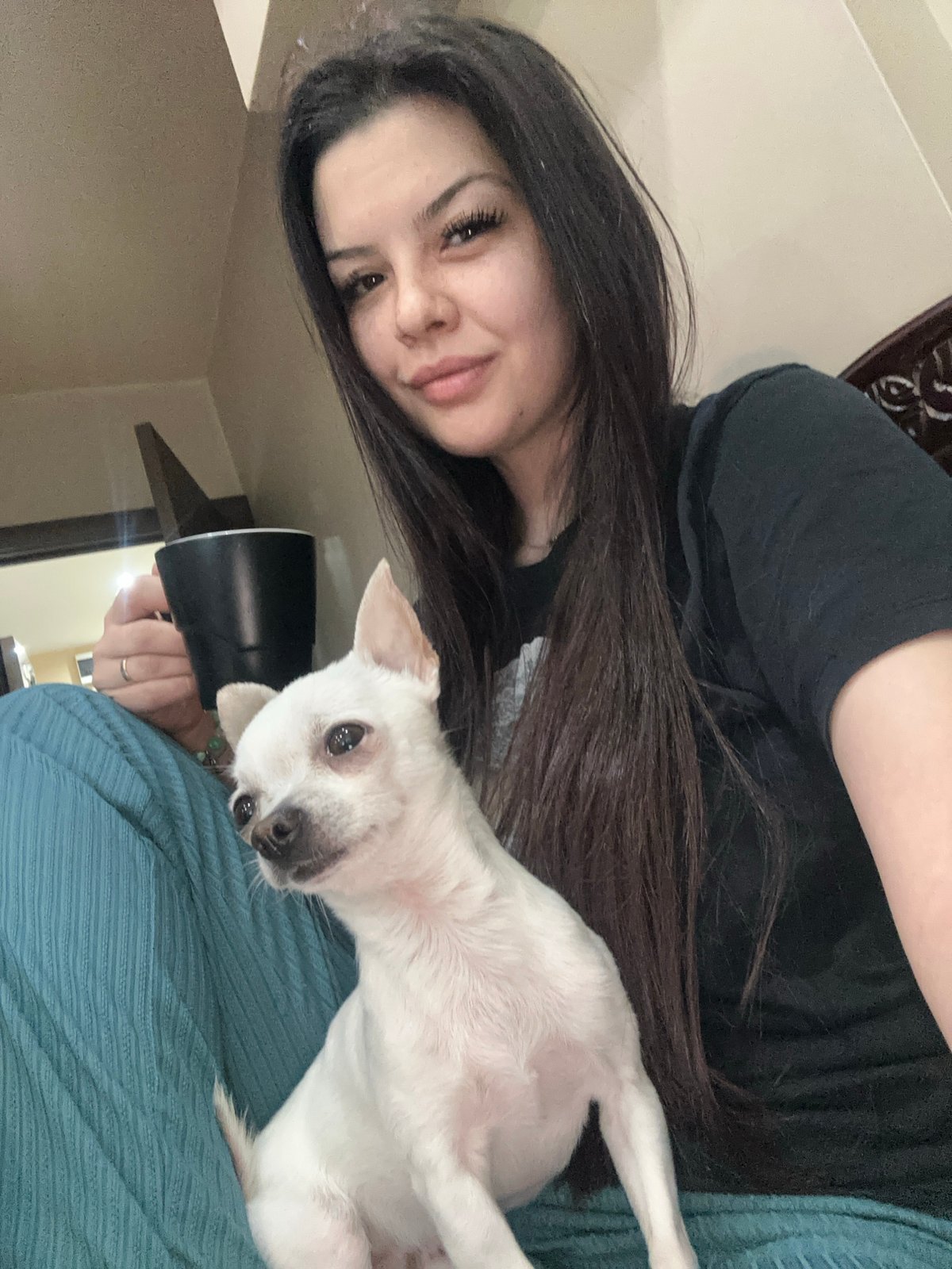 Woman takes morning selfies with white Chihuahua in Bulgaria