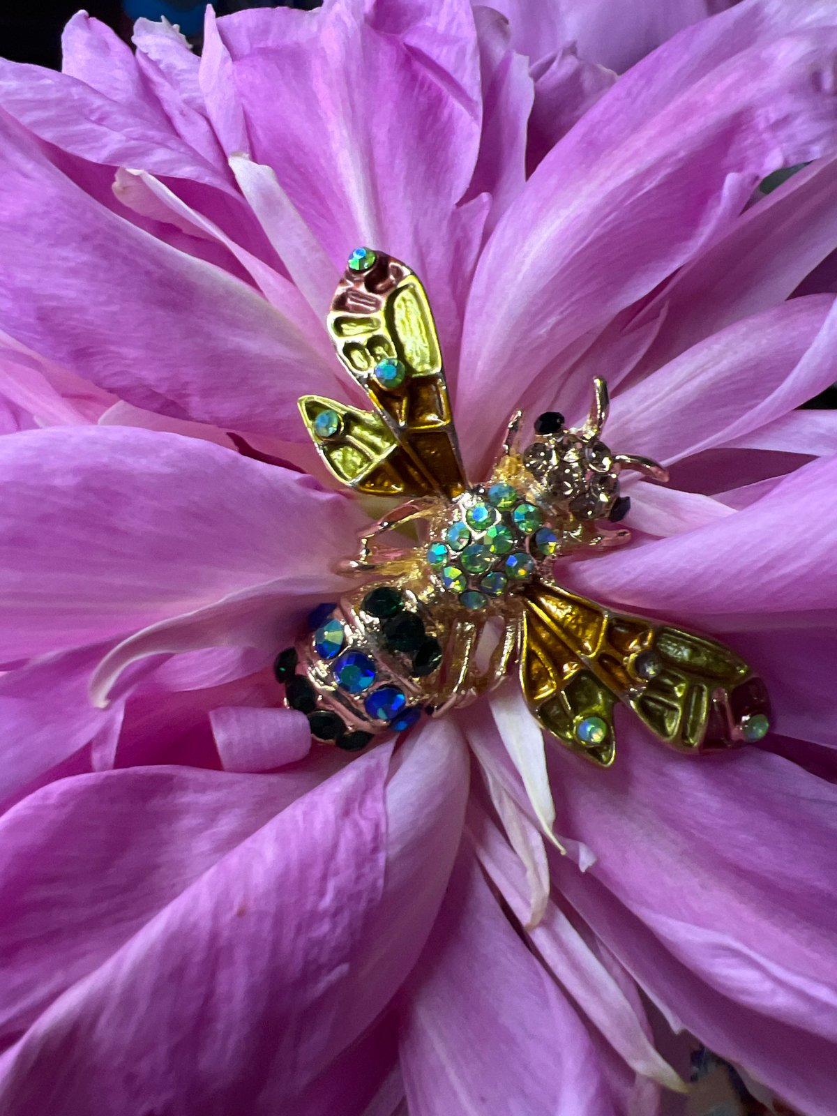Bee brooch on flowers and Minsk at golden hour