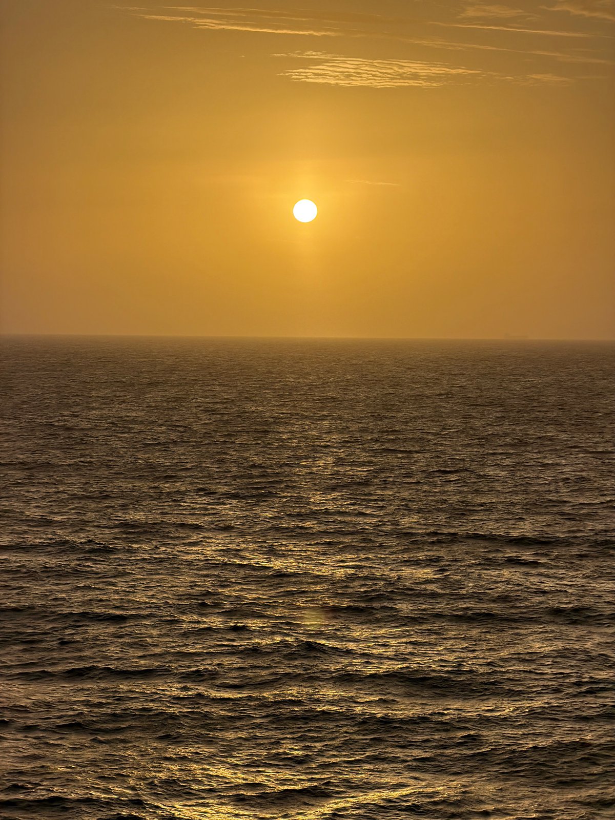 Gulf sunset with bird silhouette captured by witnesses