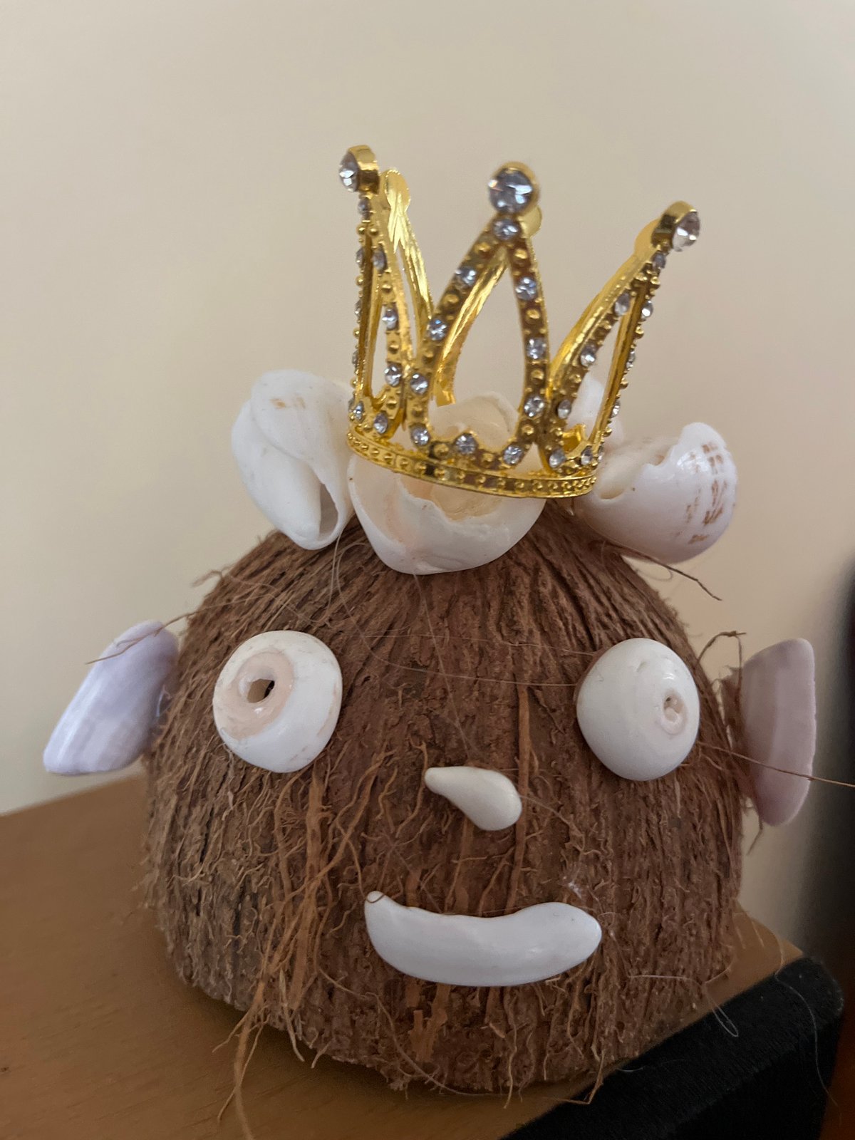 Crowned coconut decoration spotted at Turkish workspace scene