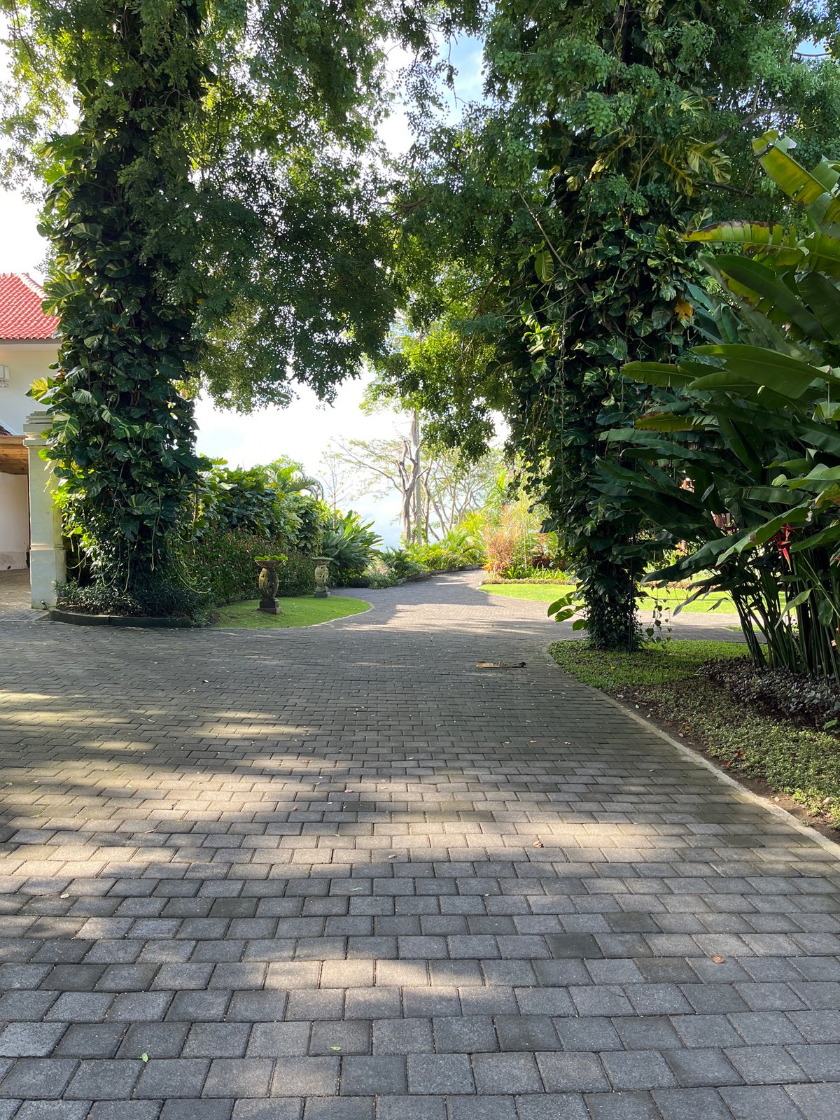 Tree-lined cobblestone path observed in Kuta Selatan, Indonesia