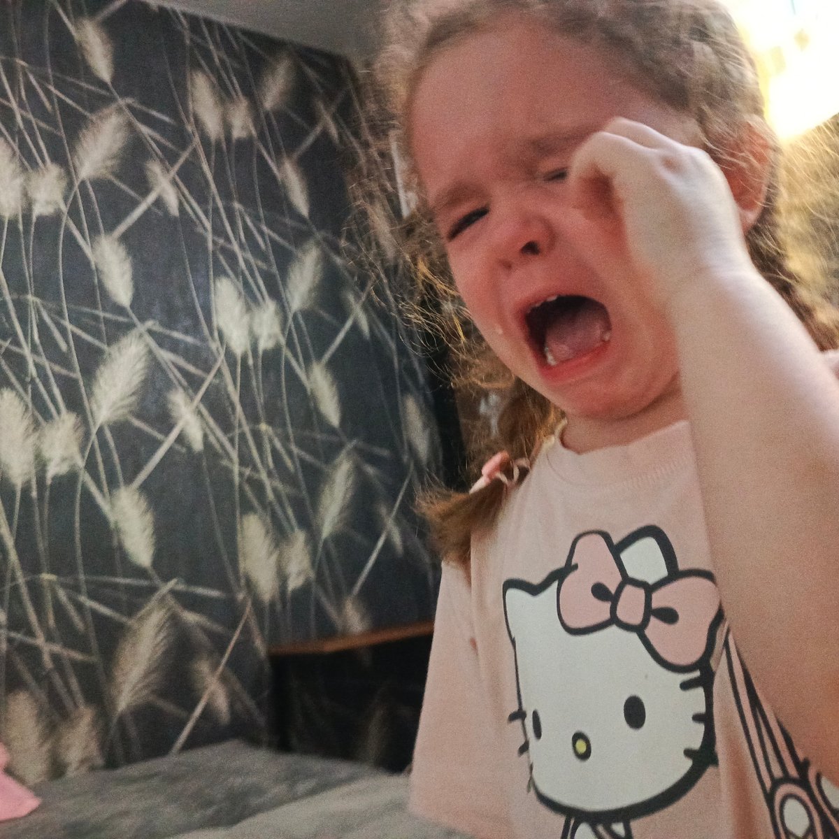 Domestic moments captured: child, pets in crocheted costumes, Марковский
