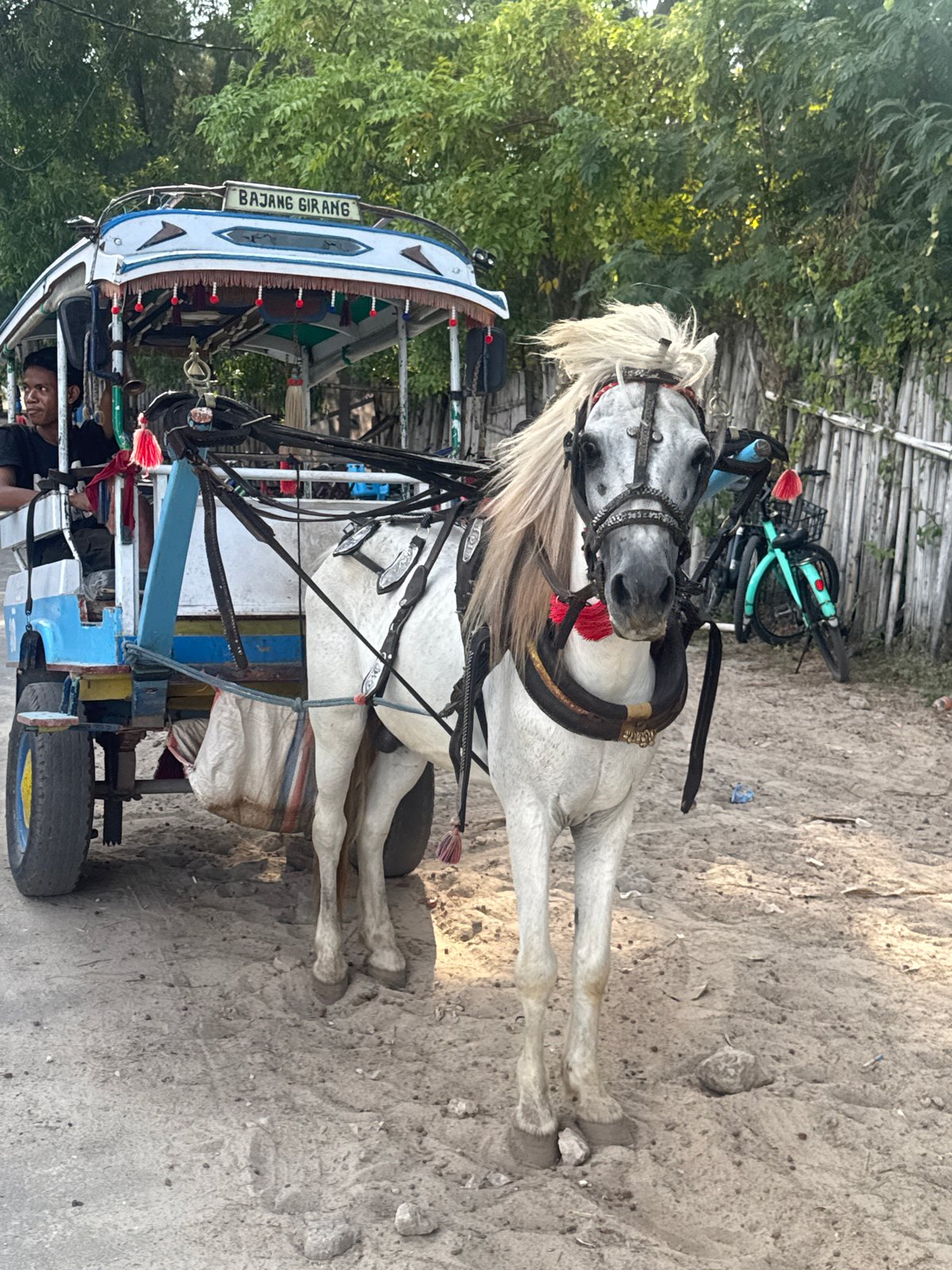 Traditional horse cart observed on Indonesian coast