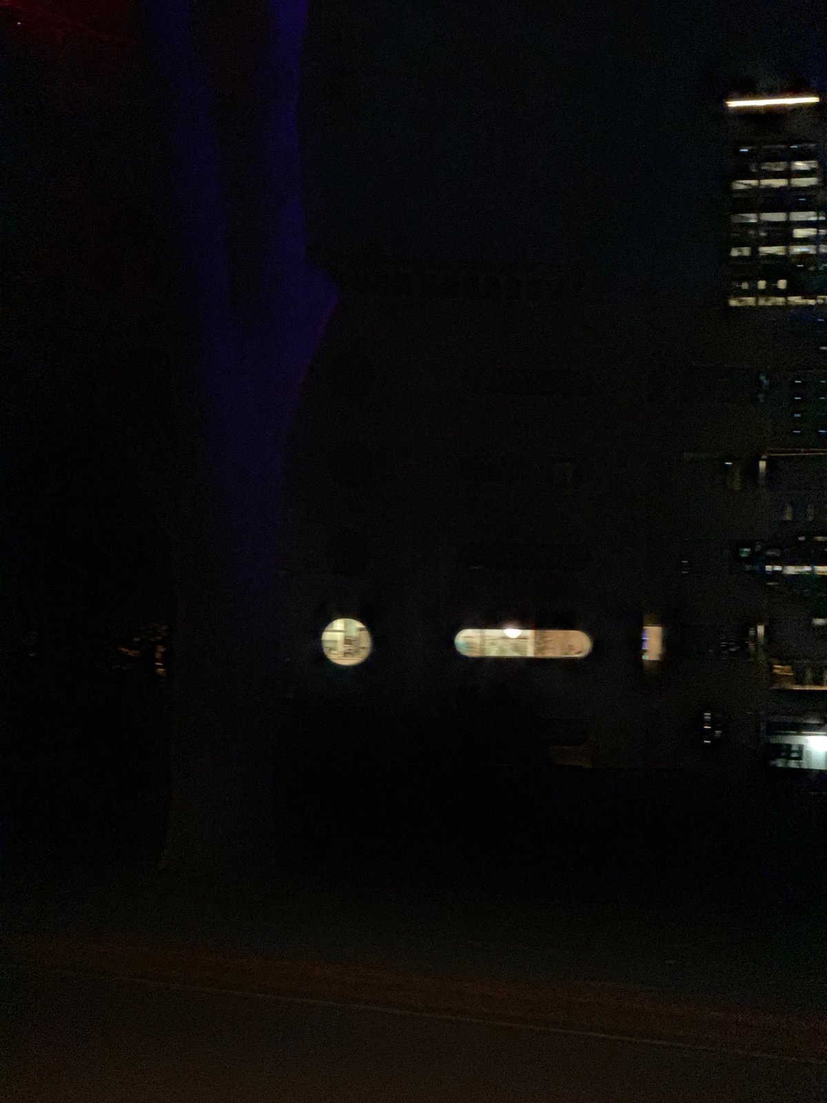 Colored light display illuminates Kings Park trees overlooking Perth