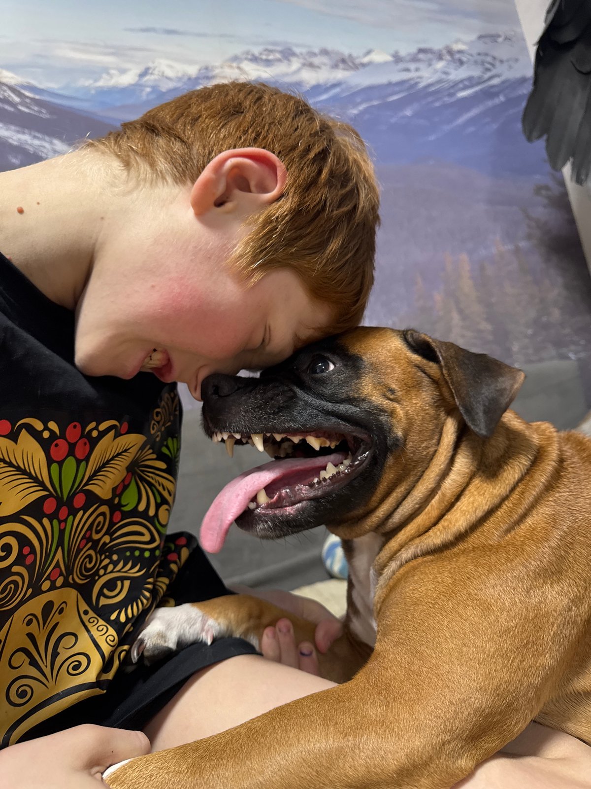 Woman and boxer dog share playful moments in Chaikovsky home