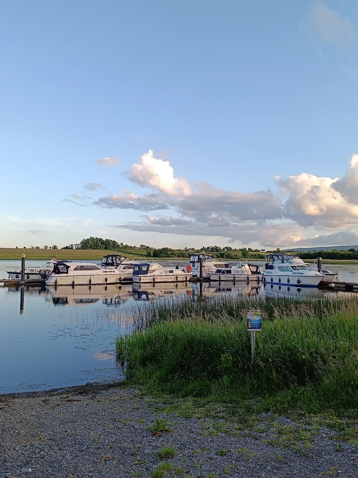 White and blue pleasure boats moored along a quiet dock