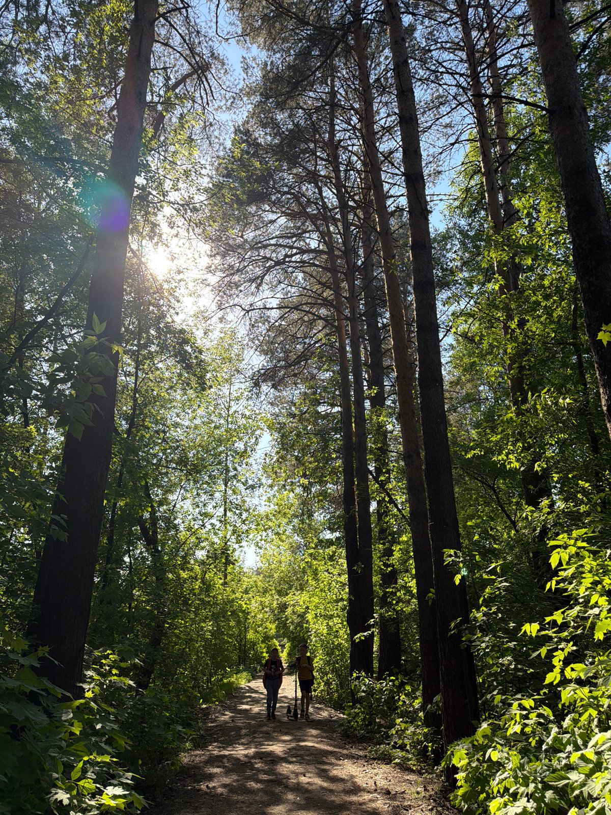 Six-minute walk through Chaikovsky captures forests, railways, streets
