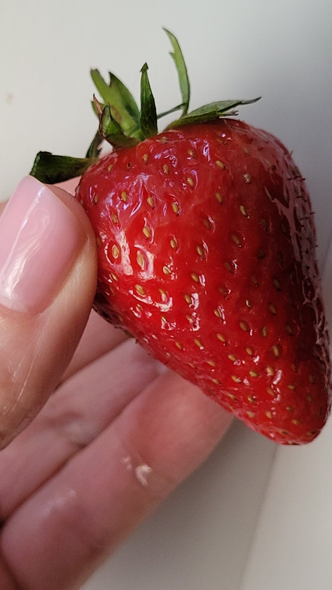Kitchen activities captured: strawberry washing, rice storage, plant care