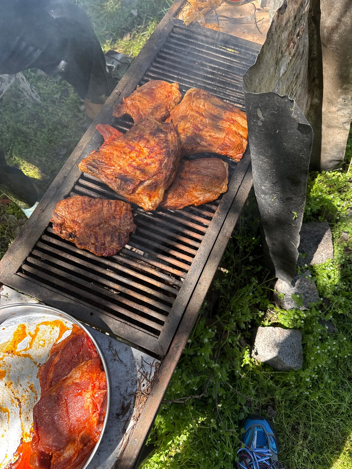 Outdoor barbecue gathering documented with grill and picnic setup