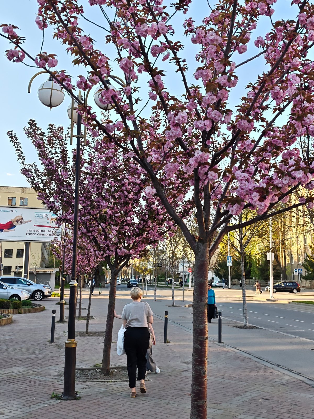 Spring afternoon scenes captured in Vinnytsia, Ukraine