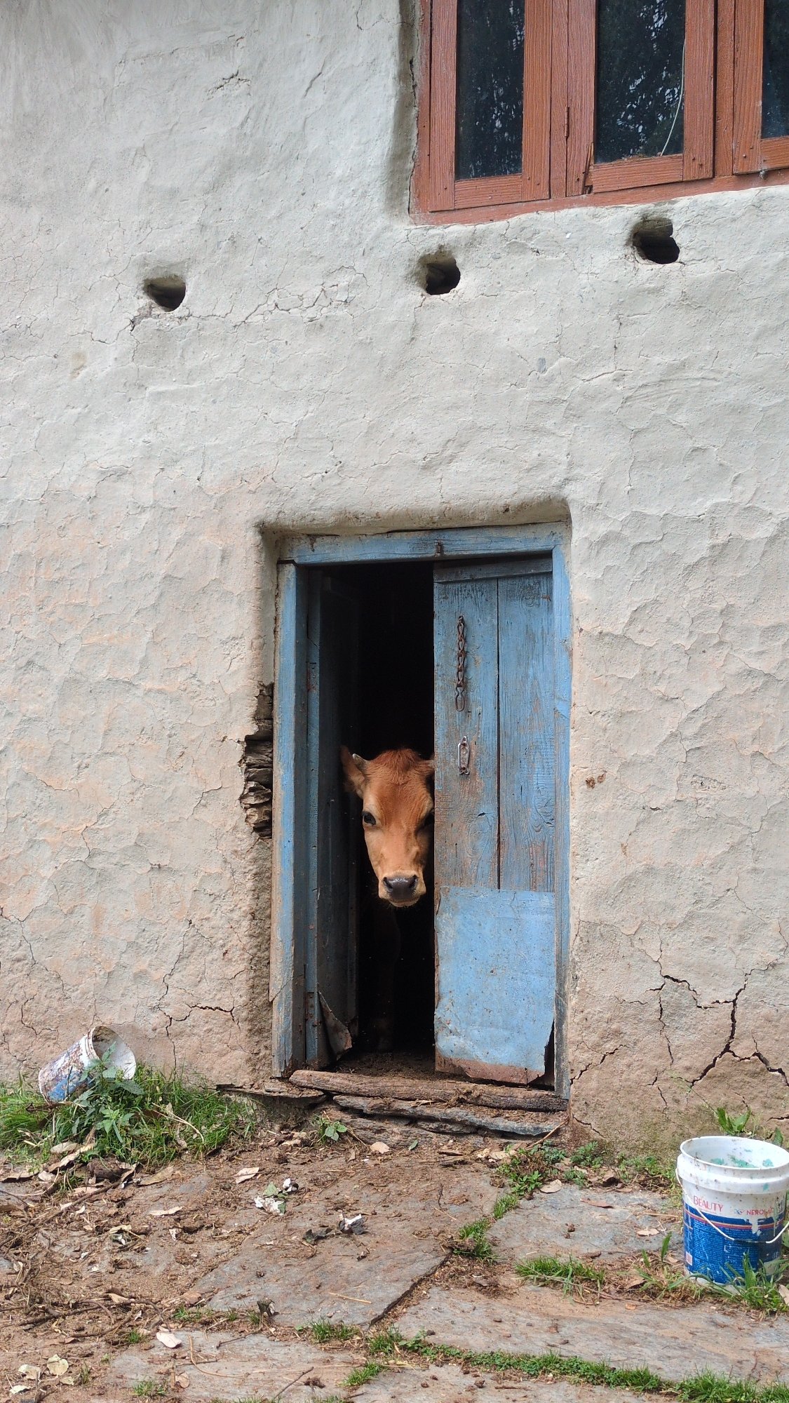 Rural structure with weathered exterior wall documented