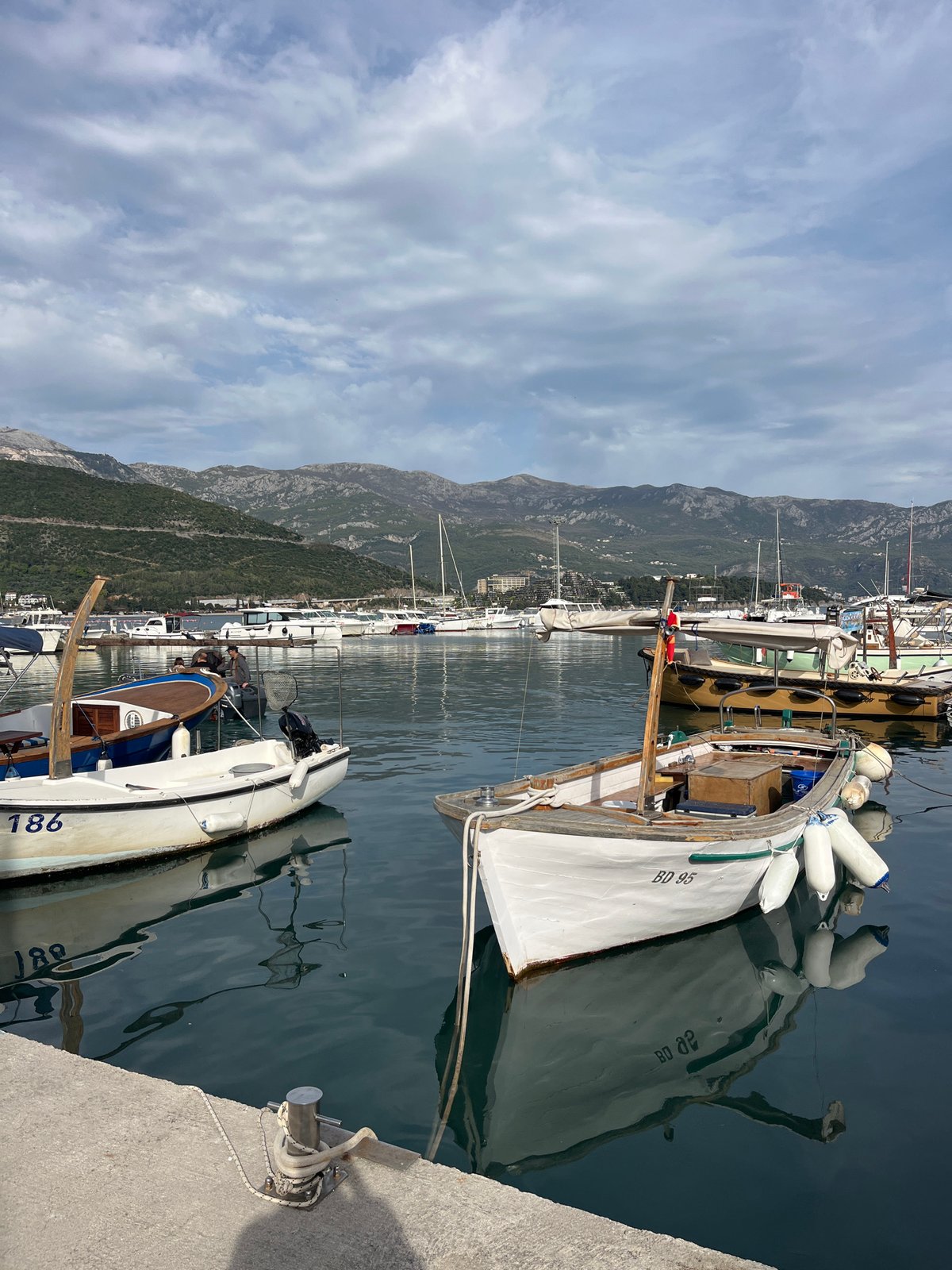 Tourist explores Budva Old Town marina and cobblestone streets