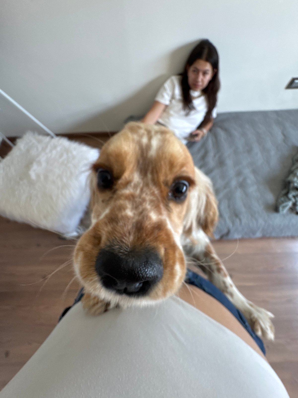 Woman and dog share intimate moment in Puebla home