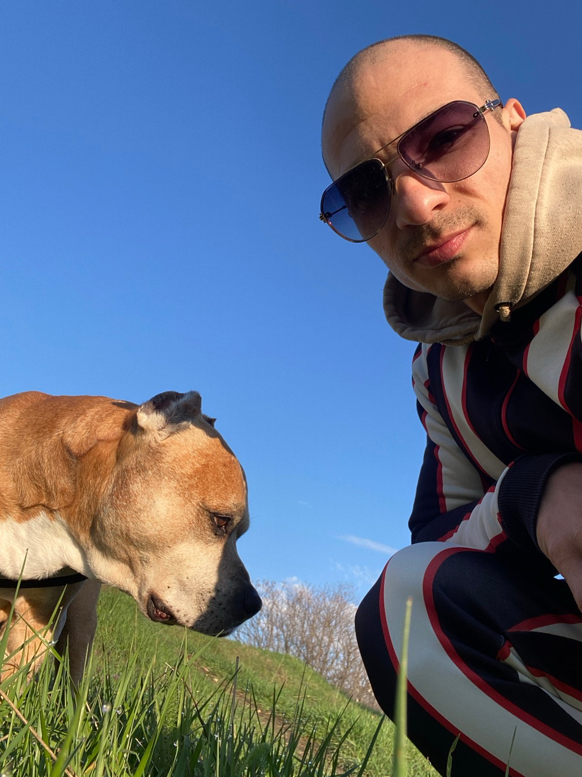 Dog walker enjoys early morning outing in Bulgarian countryside