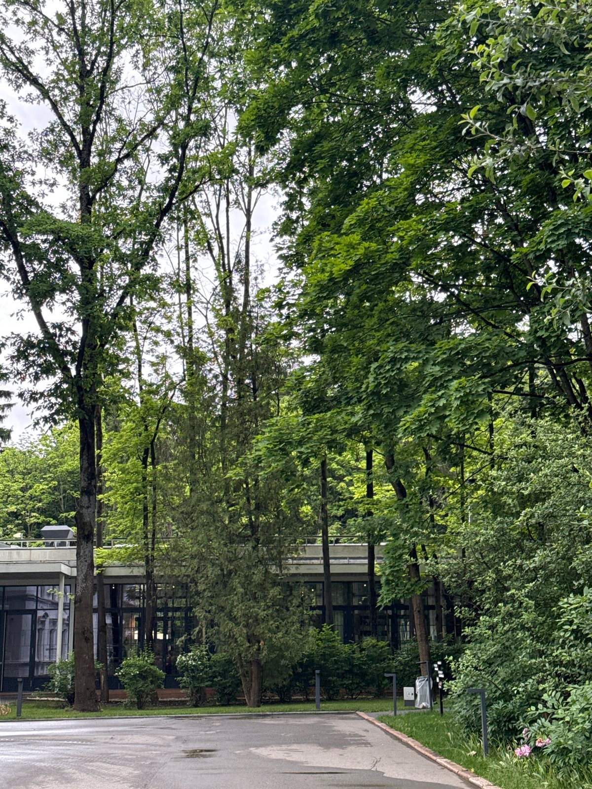 Afternoon at an upscale Vnukovo estate, indoors and out