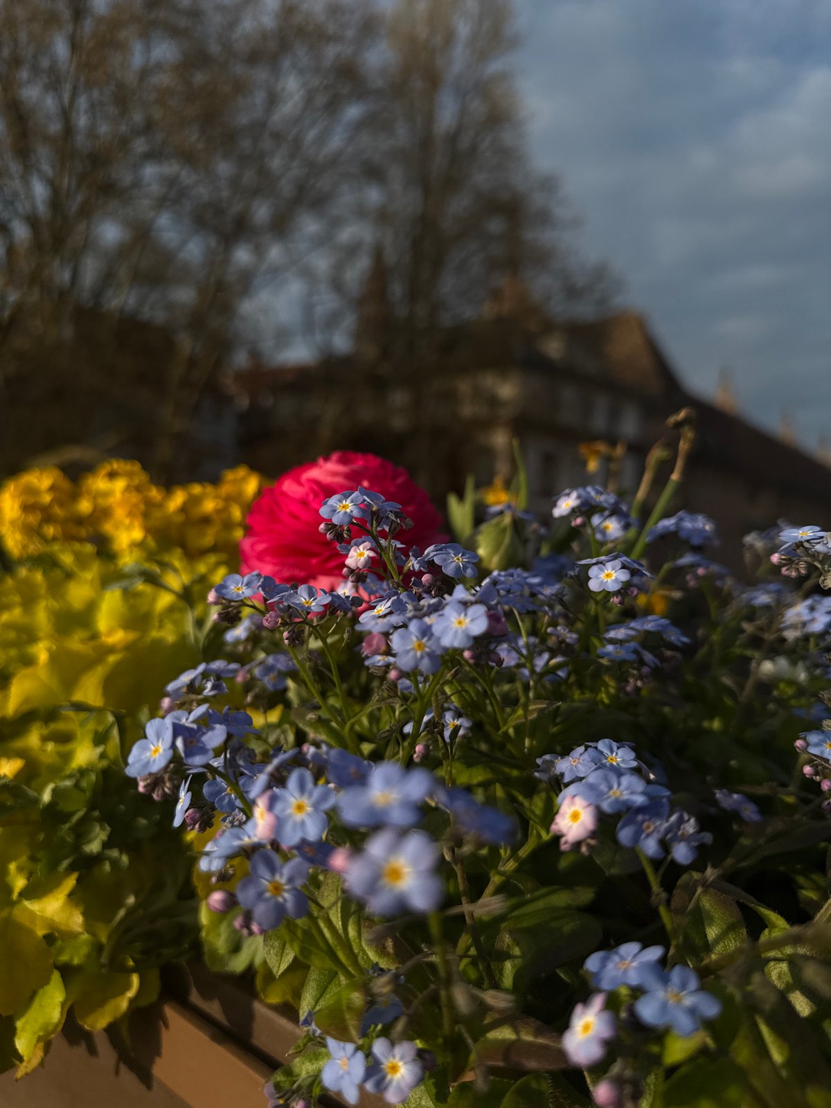 Spring afternoon scenes captured across Strasbourg streets and waterways