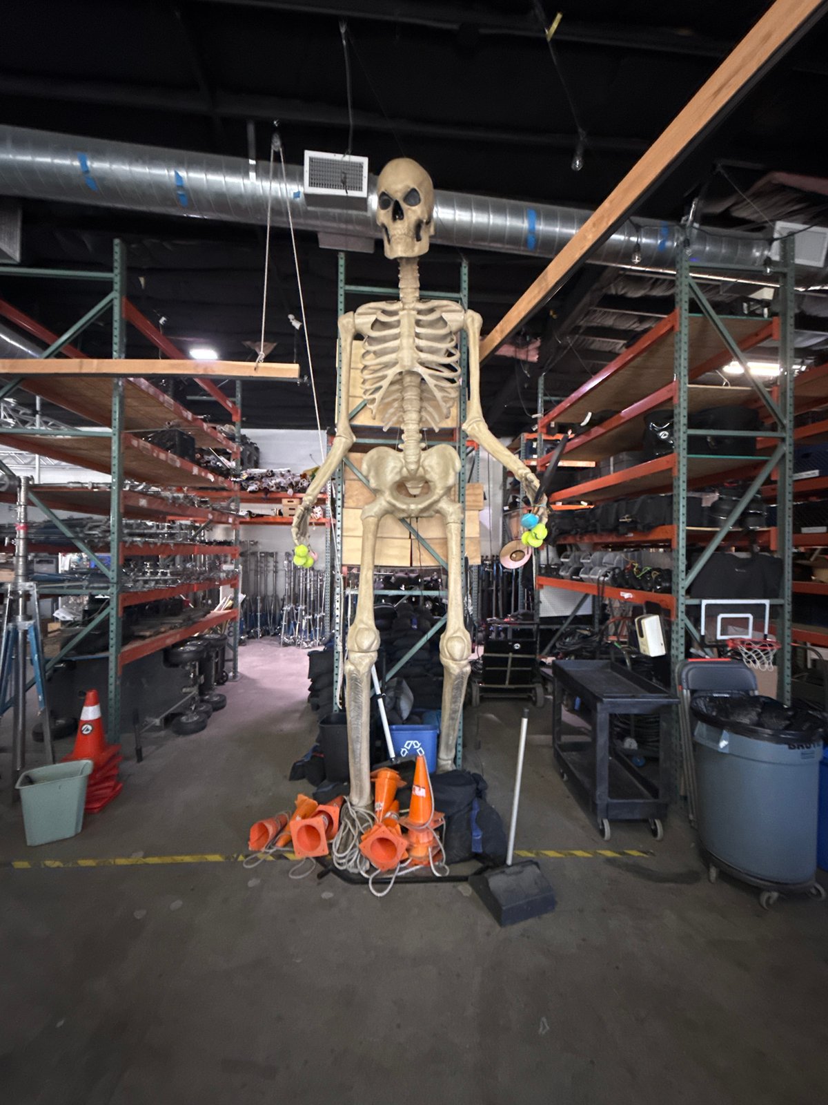 Skeleton display spotted in Burbank warehouse storage area