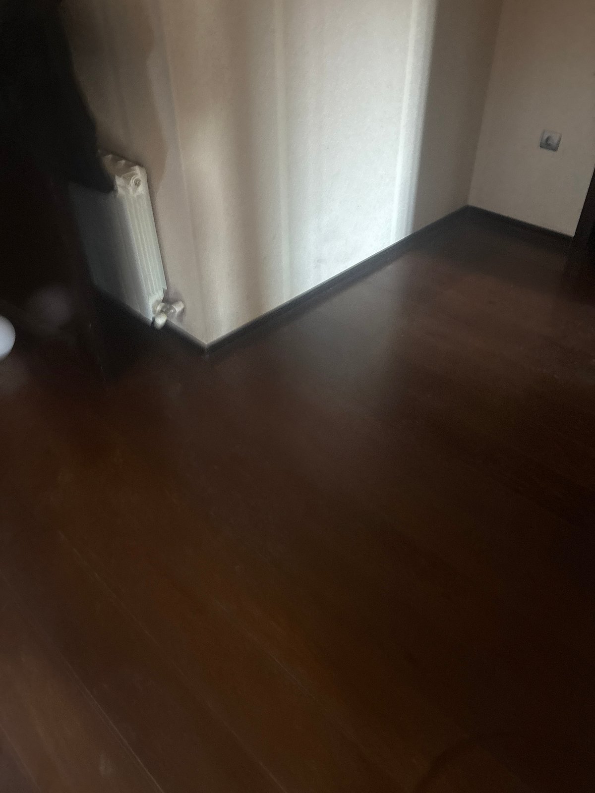 Residential property with balloons indoors, decorative pond documented in Ореховка