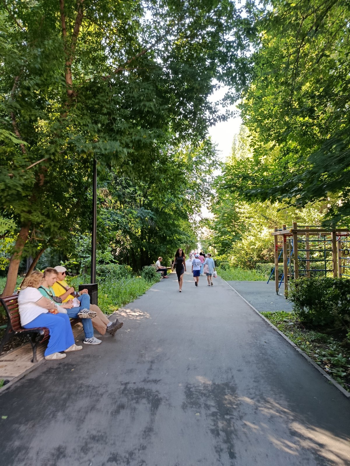 Quiet summer morning in a Saratov park and street