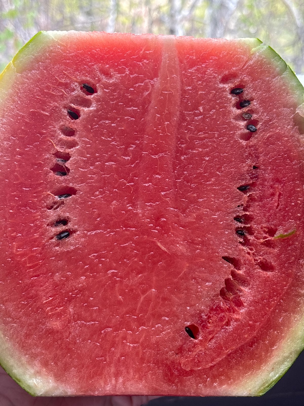 Cut watermelon photographed in Sofia, Bulgaria