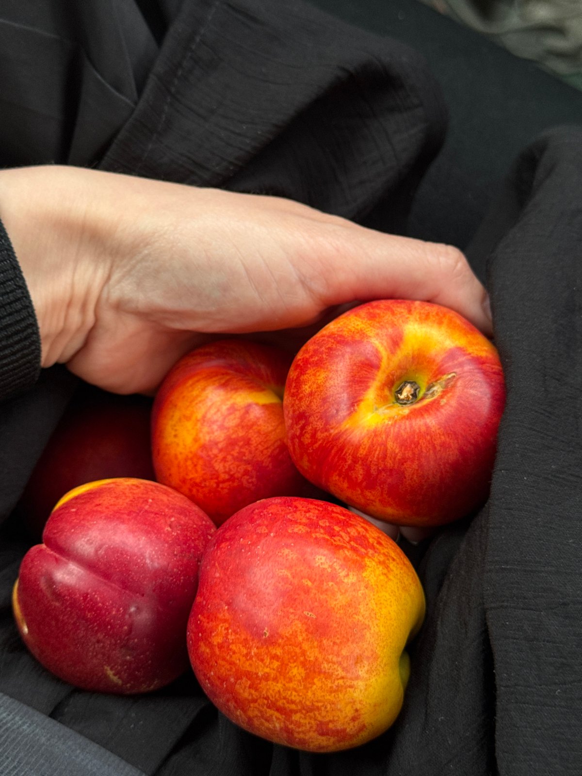 Woman holds nectarines in car in Russian village