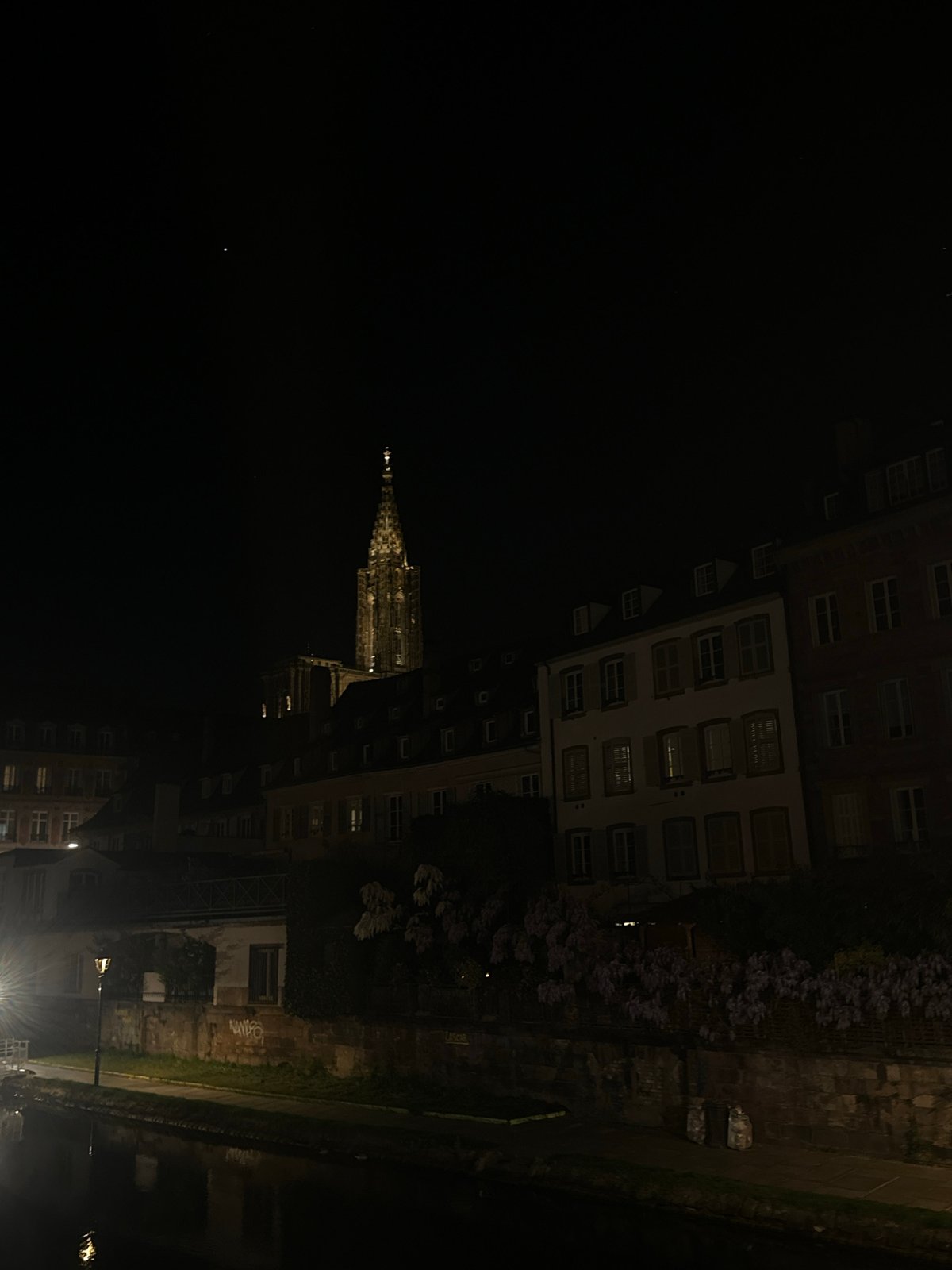 Strasbourg Cathedral illuminated in nighttime canal reflections