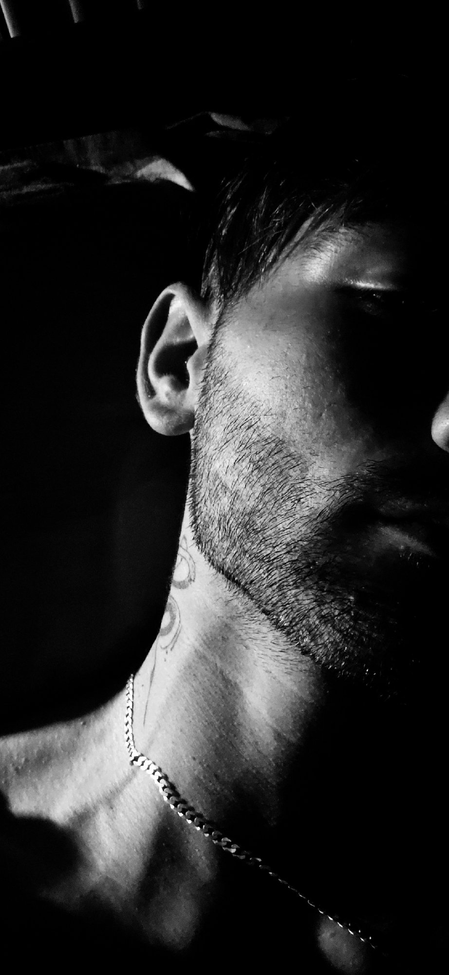 Portrait session documented: bearded man with tattoo, silver chain