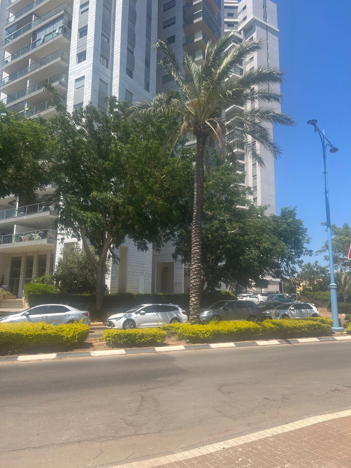 Hadera's coastal streets and blooming urban gardens, mid-morning.