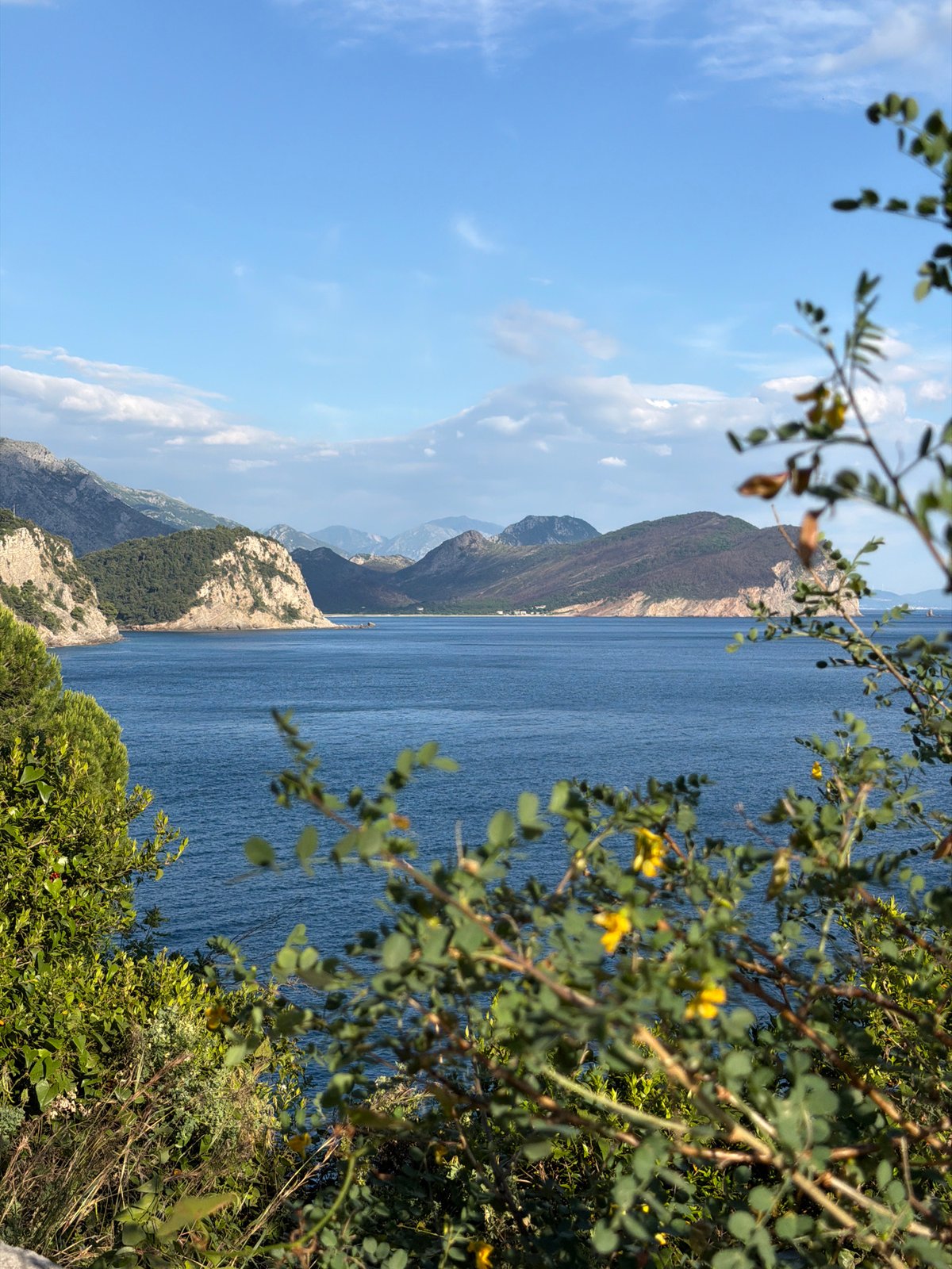 Dog and owner descend clifftop stairs in coastal Montenegro
