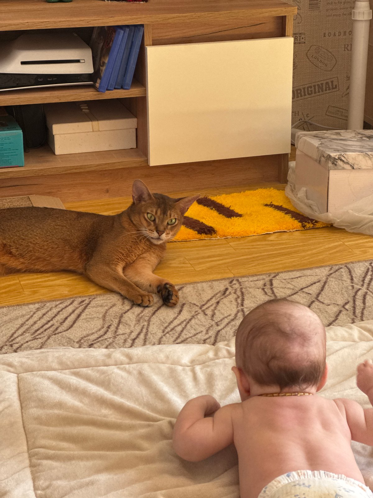 Family's morning routine captured across Chaikovsky, Russia locations