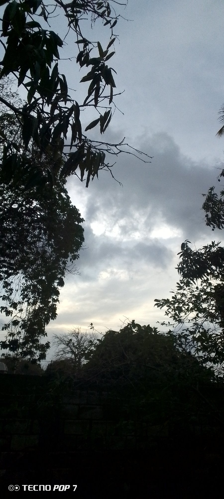 Dusk settles over Altagracia, Venezuela — skies, trees, and streetlights