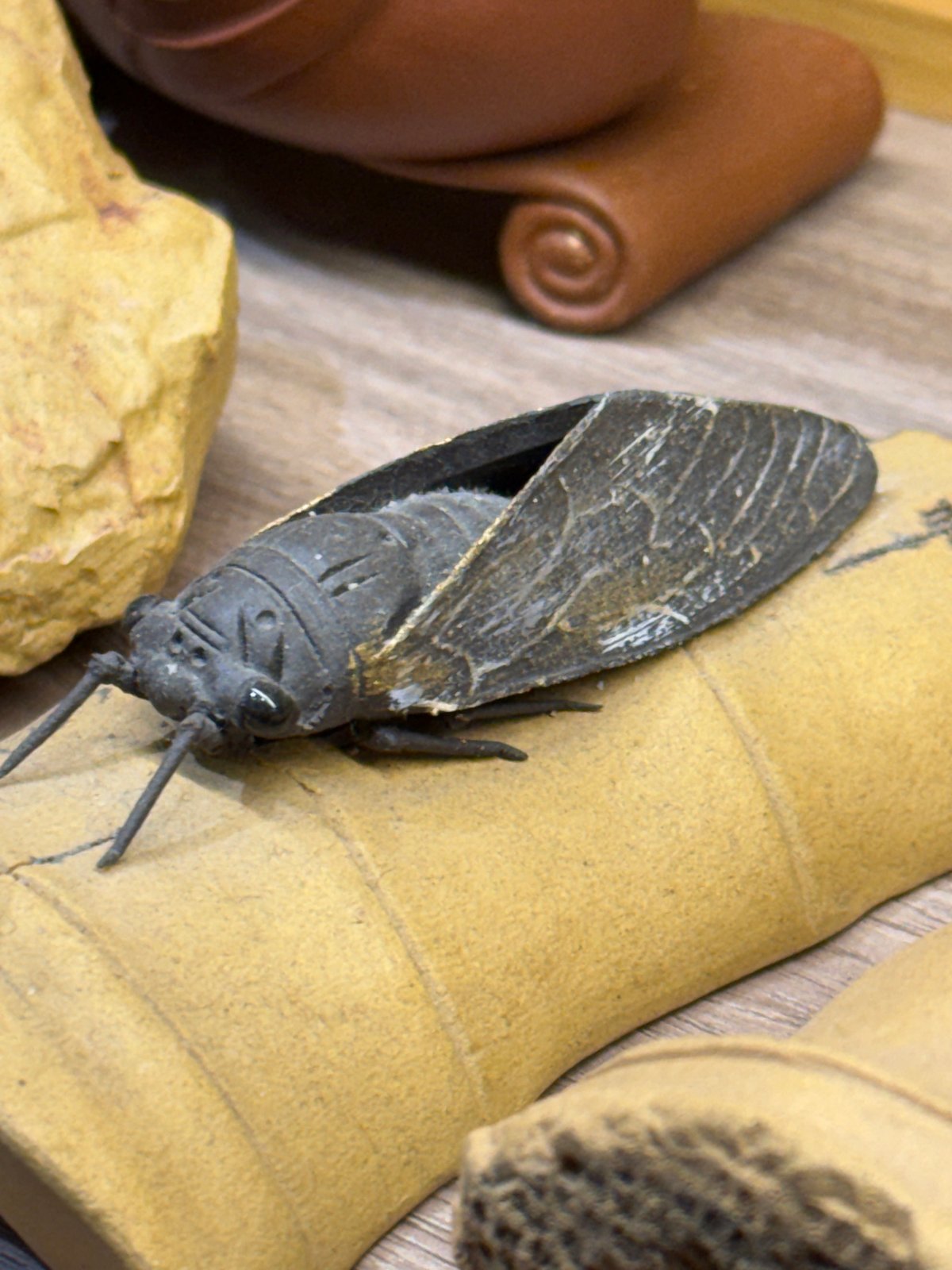 Visitor documents traditional Chinese artifacts at Liwan District exhibition