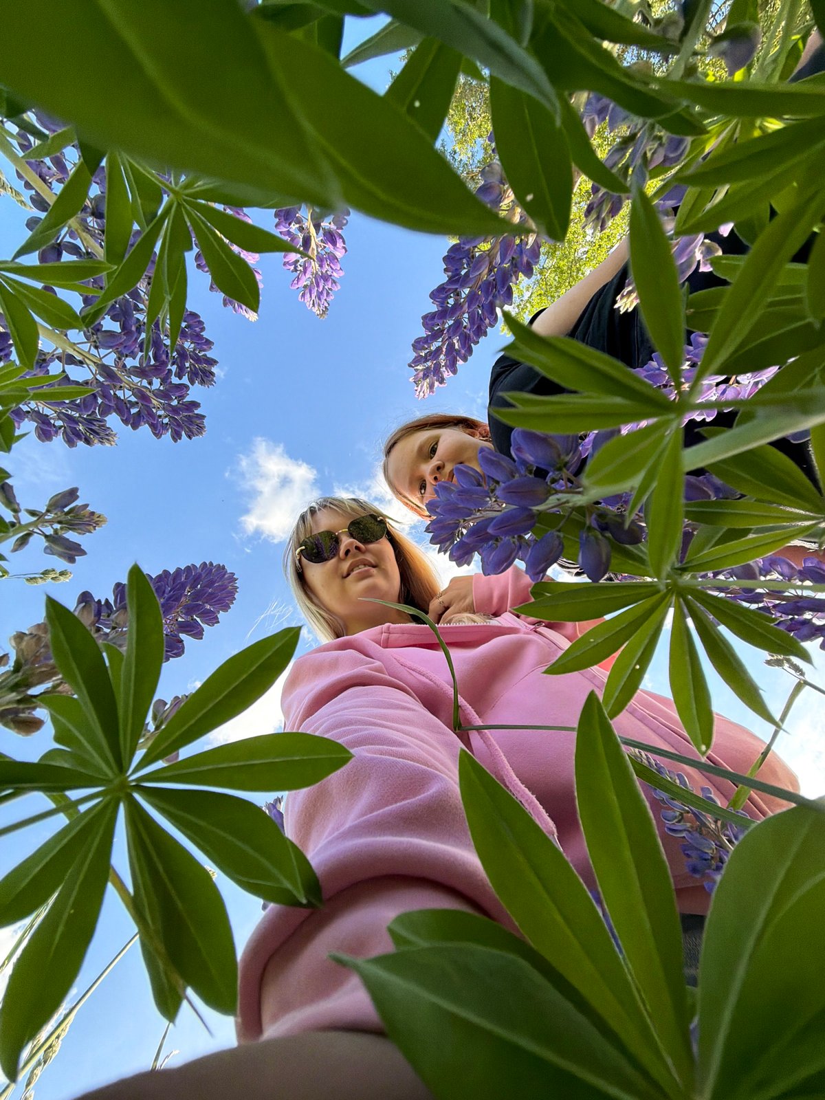 Young people photograph lupine flowers, tractor monument in Russian villages