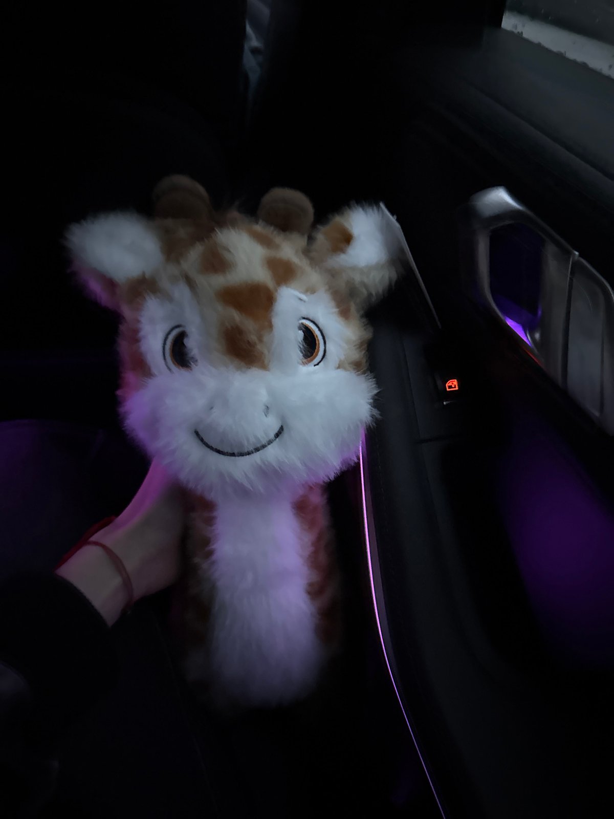 Driver navigates BMW through Plovdiv with stuffed giraffe companion