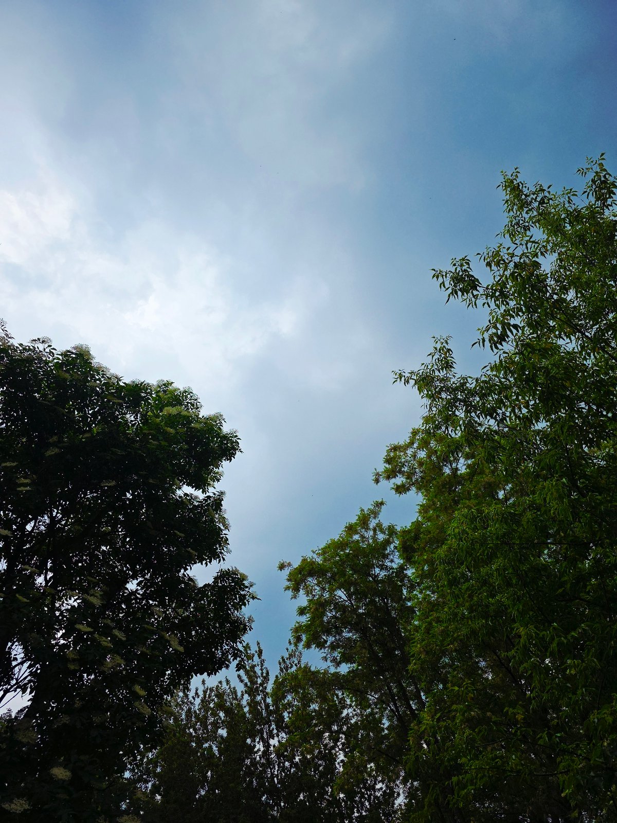 Afternoon stroll through urban park captured in 84-minute documentation