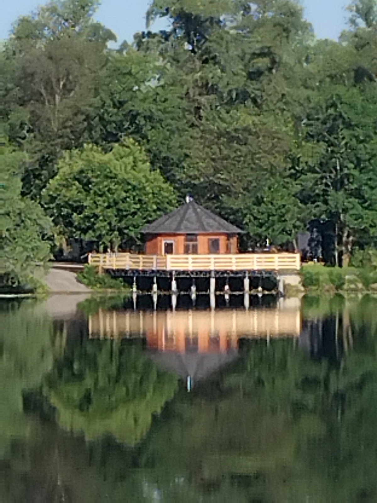 Quiet morning on the Dnipro: boats, blooms, and a resting dog