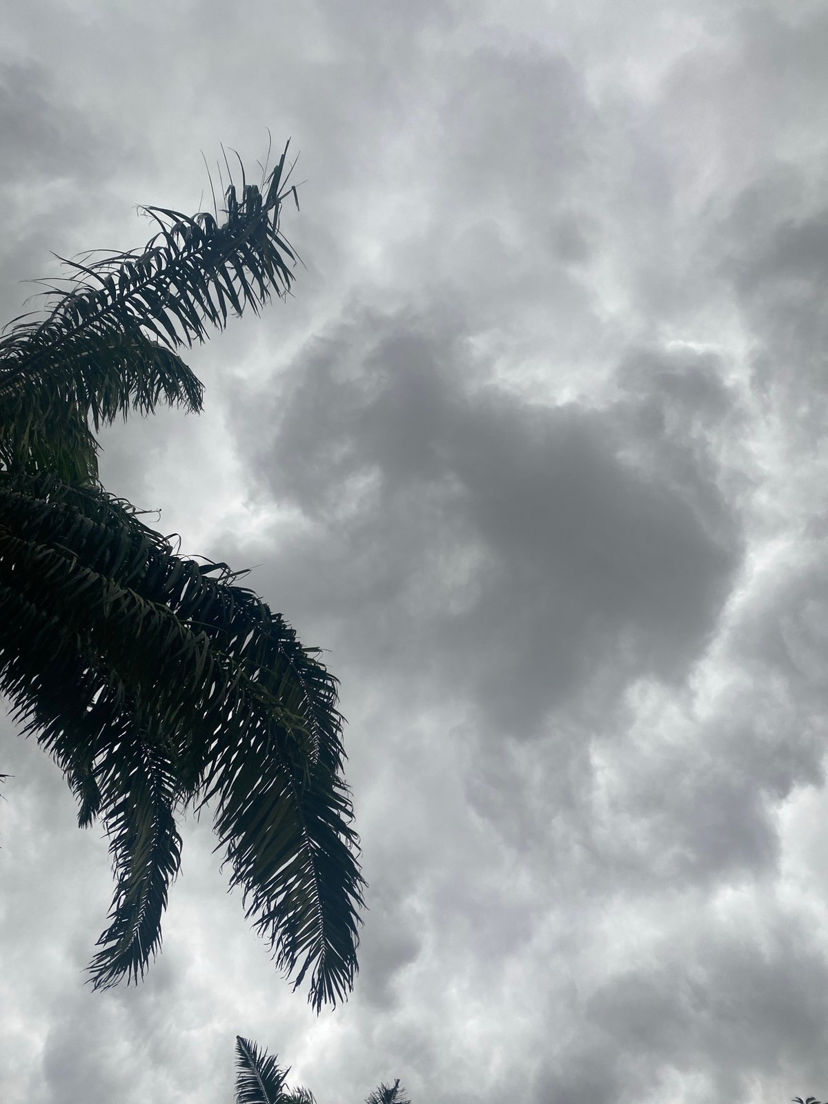Rainy morning observations captured in Maigizo, Nigeria