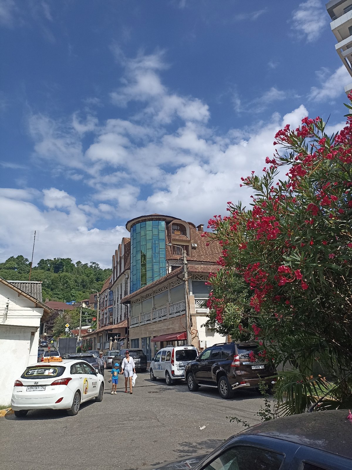 Sunny street corner in Sochi, taxis and oleander in view