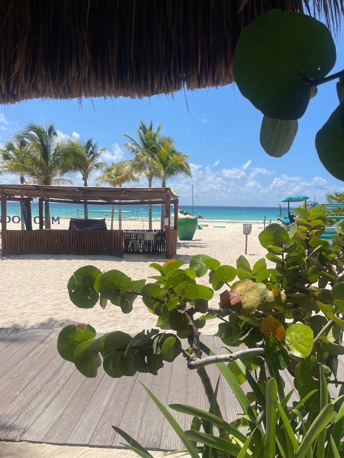 Beach scene captured through foliage in Playa del Carmen